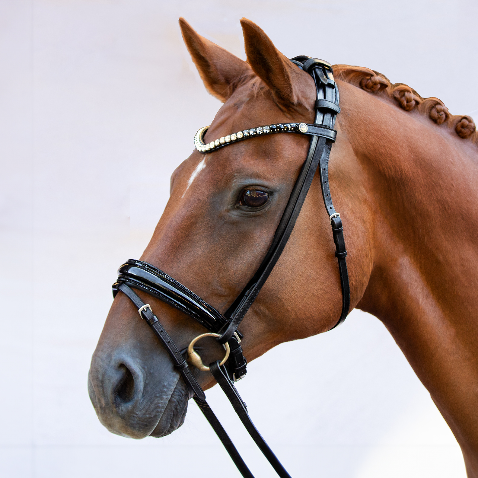 Design Your Bridle Velvet