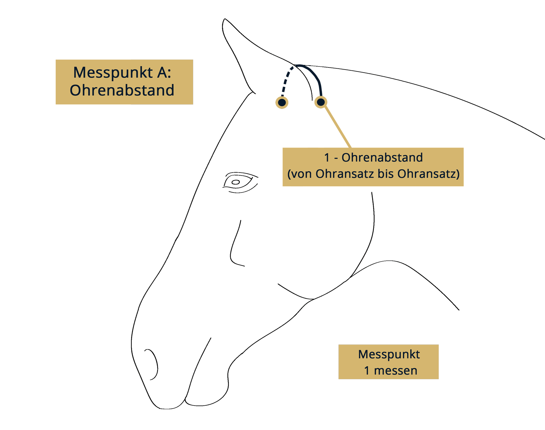 GF-Messpunkt-A-schwarz